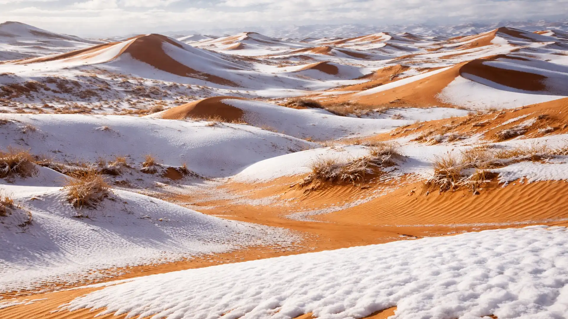 A nins din nou în Sahara: fenomen rar surprins pentru a șaptea oară în ultimele decenii A nins din nou în Sahara: fenomen rar surprins pentru a șaptea oară în ultimele decenii