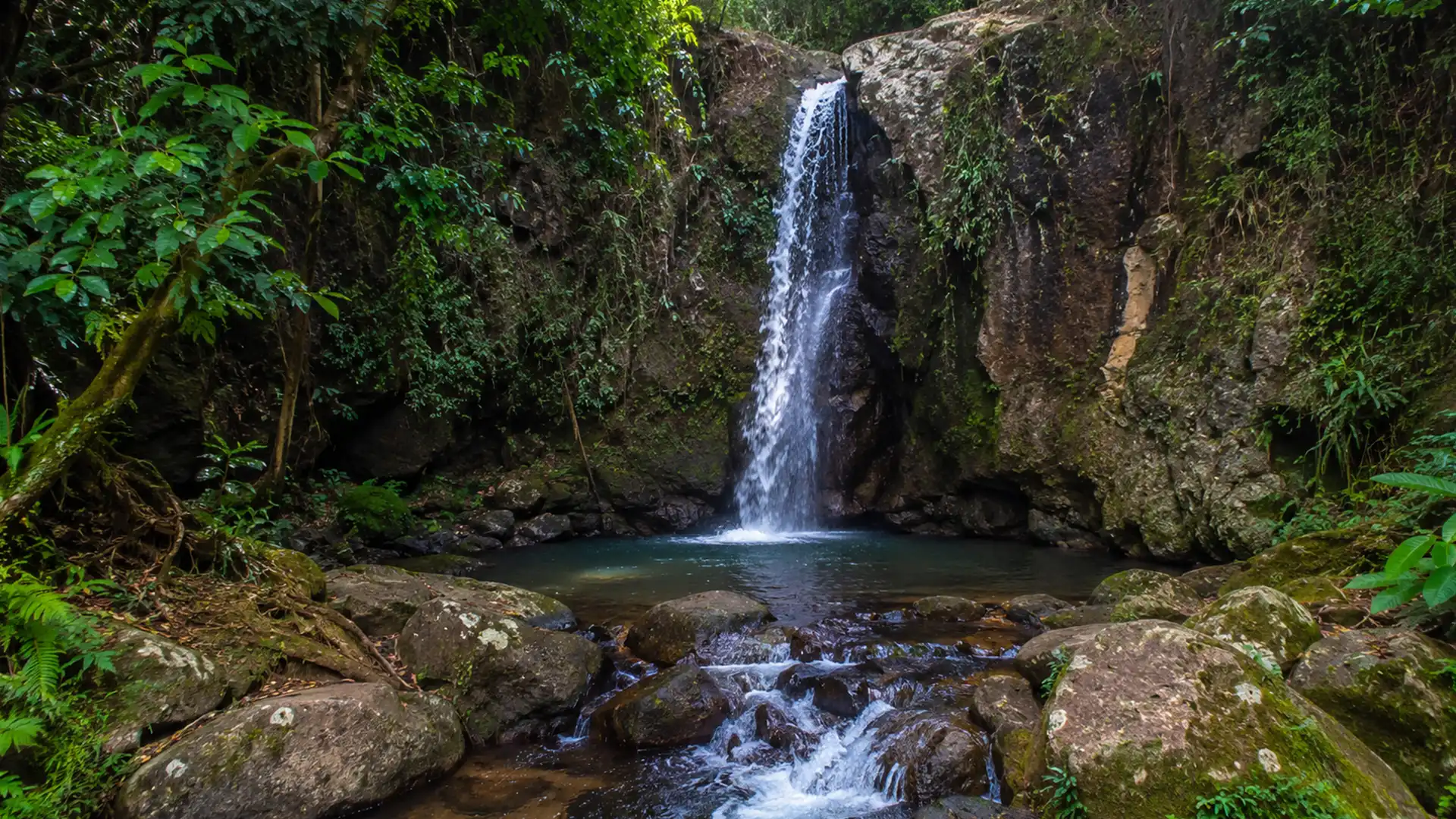 Cascada sacră ascunsă din Uganda, locul unde natura și spiritualitatea se întâlnesc Cascada sacră ascunsă din Uganda, locul unde natura și spiritualitatea se întâlnesc